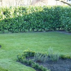 Erde und mehr Joachim Meyer Weener Gartengestaltung